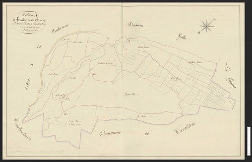 Montandon