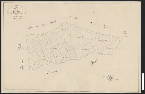 Rognon