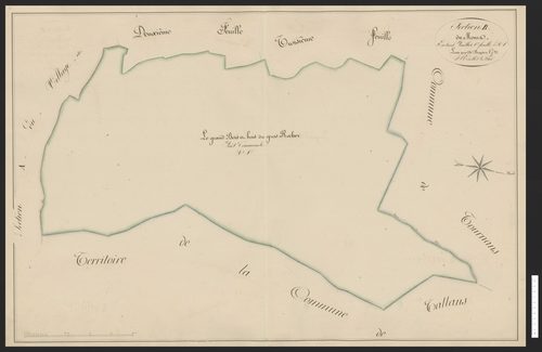 Rognon