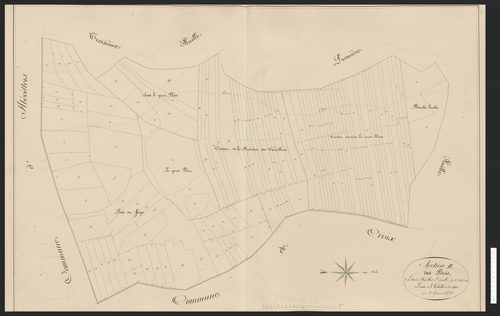 Vandoncourt