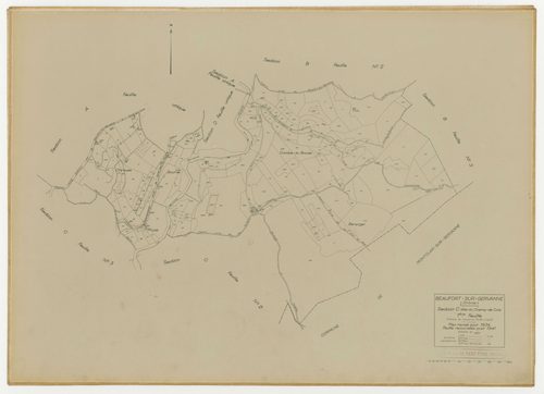 C1, Le Champ de Cols. 1941.