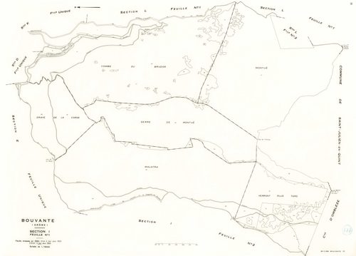 I1. 1985.