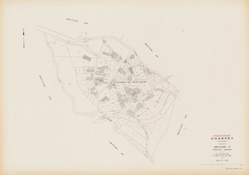 P. 1981.
