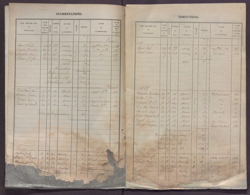 Volume 1 : cases 1-256 (13 février 1882).