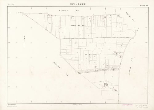 AB. 1981.