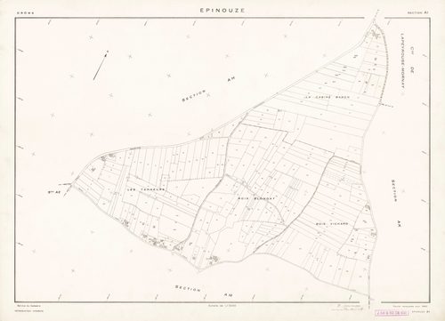 AI. 1981.