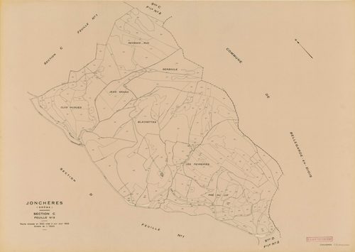 C3. 1955.