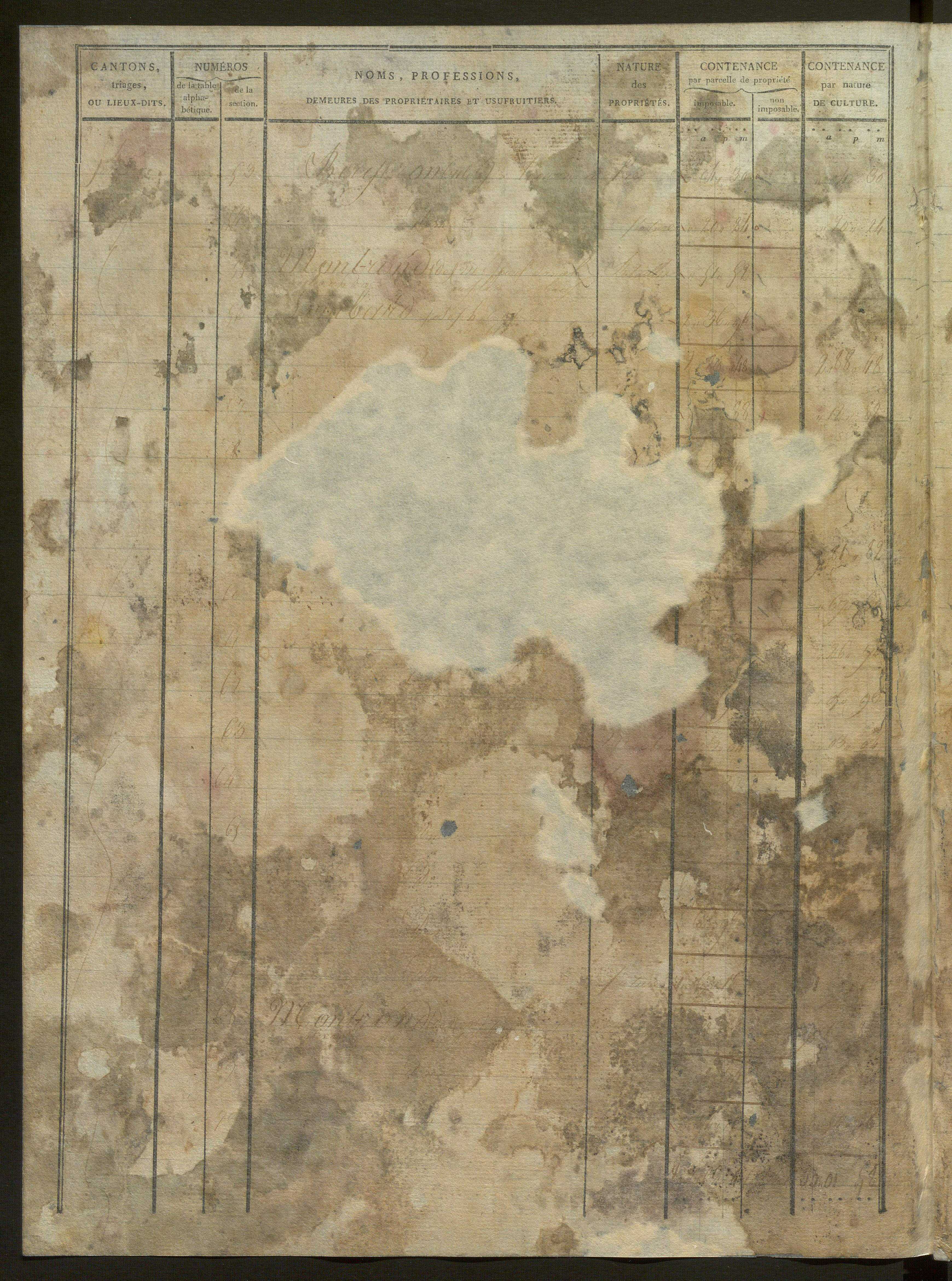 États de classement des propriétés non bâties, puis des propriétés bâties : section A dite ''des Prés'', section B dite ''de Vellan'', section C dite ''de la Blache'', section D dite ''de Baix aux Montagnes'' (1er décembre 1813).