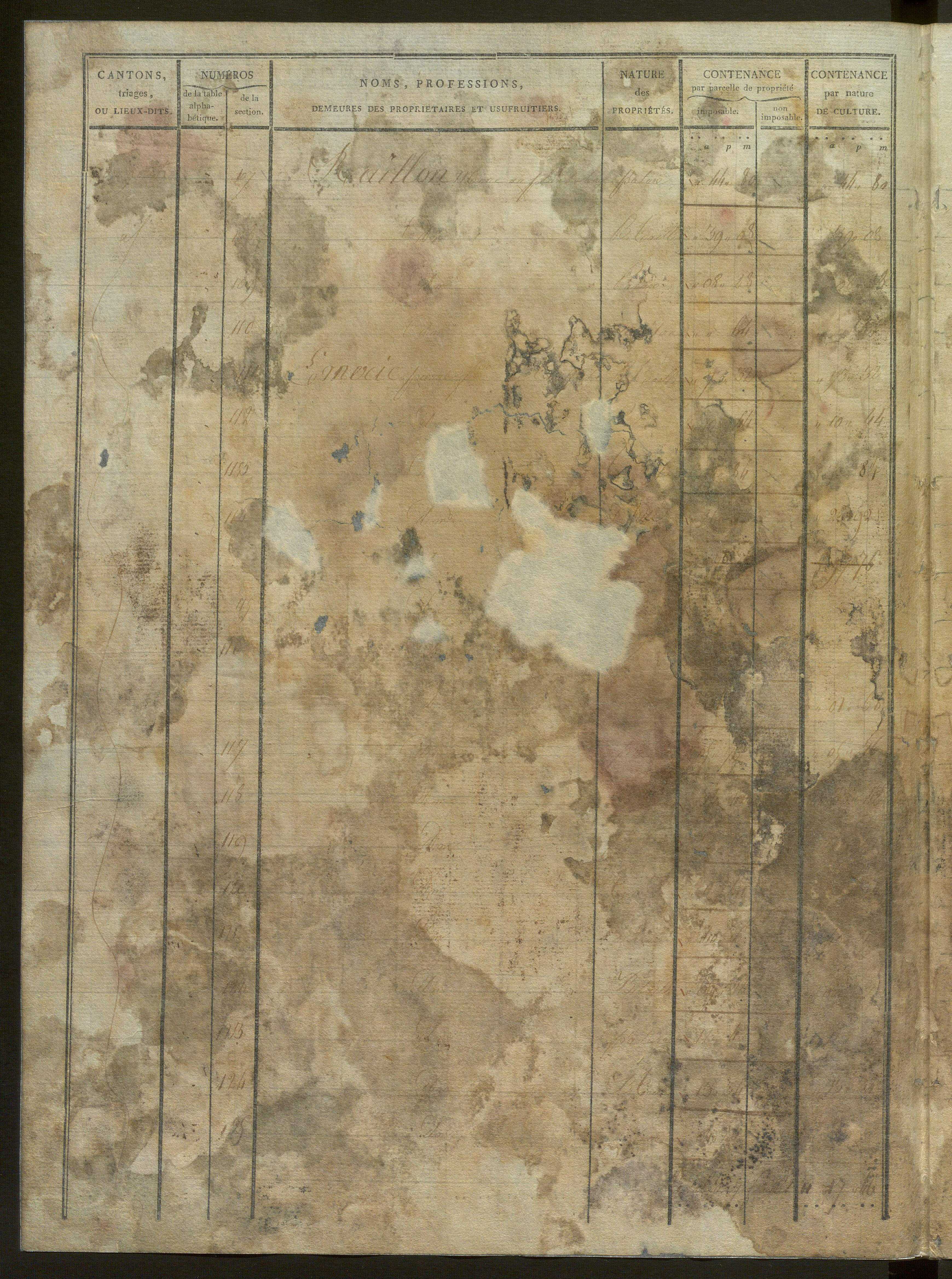 États de classement des propriétés non bâties, puis des propriétés bâties : section A dite ''des Prés'', section B dite ''de Vellan'', section C dite ''de la Blache'', section D dite ''de Baix aux Montagnes'' (1er décembre 1813).