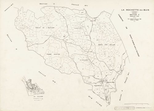 C3. 1951.