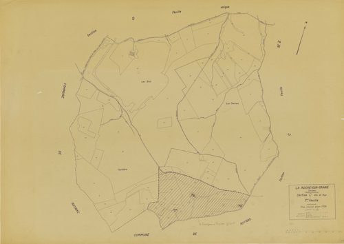 C1, Fayn. 1933-1965.