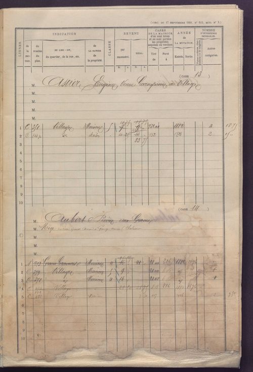 Volume 1 : cases 1-248 (31 janvier 1882).