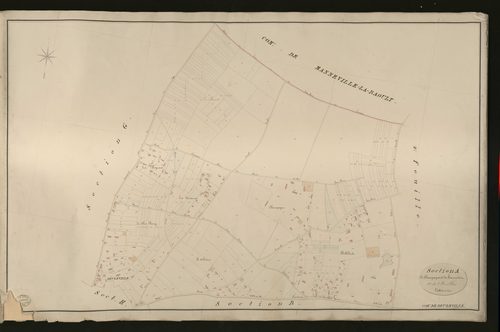 Beuzeville. Section A _ de Champagne et du hanneton _ 1re de 2 Feuilles