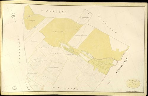 Canappeville. Section C _ de Noyon _ 2e de 3 Feuilles
