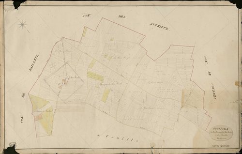 Chavigny-Bailleul. Section A _ du Bois Perrier et du Bois Rault _ 1re de 2 Feuilles