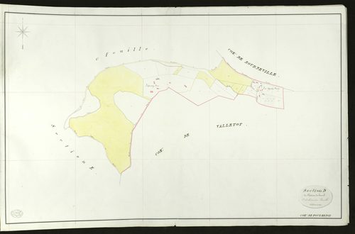 Fourmetot. Section D _ de Château du hamel _ 2e et dernière Feuille