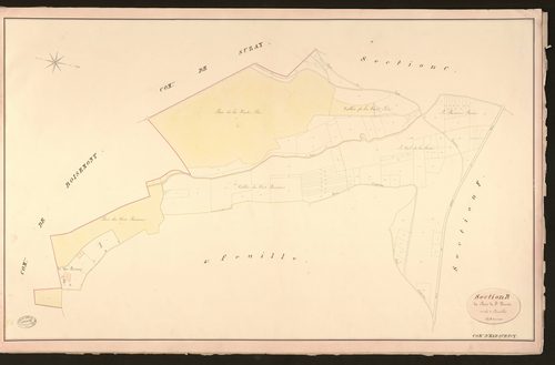 Harquency. Section B _ du Bois de Saint Denis _ 1re de 2 Feuilles