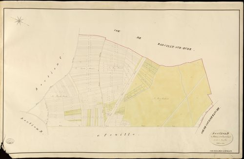 Illiers-l'Evêque. Section D _ du Château et du Bois d'en haut _ 1re de 2 Feuilles