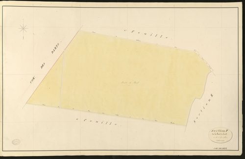 Léry. Section F _ de la Forêt de bord _ 2e de 3 Feuilles
