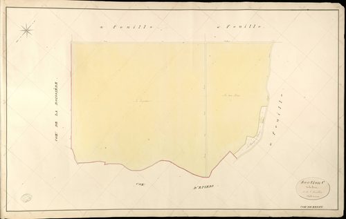 Mérey. Section C _ de la Forêt _ 5e de 6 Feuilles