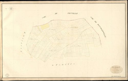 Mousseaux-Neuville. Section A _ du Routoir _ 1re de 2 Feuilles