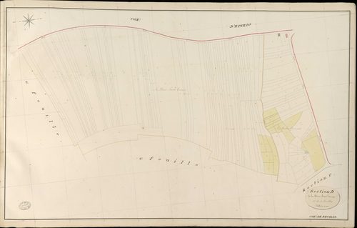 Neuilly. Section D _ de la Dime Saint Taurin _ 1re de 4 Feuilles