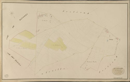 Pullay. Section D _ de la Paztinière _ 1re de 3 Feuilles