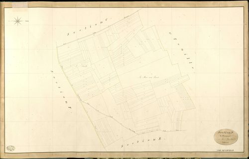 Reuilly. Section D _ de Champagne _ 1re de 3 Feuilles