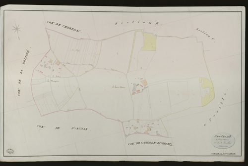 Roussière (La). Section D _ de haut Moine _ 1re de 2 Feuilles