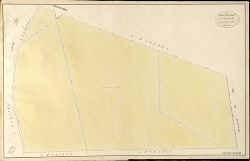 Sainte-Marthe. Section C _ de Forêt de Conches _ 7e de 8 Feuilles