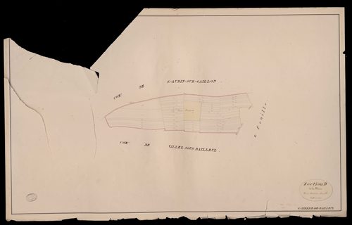 Saint-Pierre-de-Bailleul. Section D _ de la Plaine _ 3e et dernière Feuilles