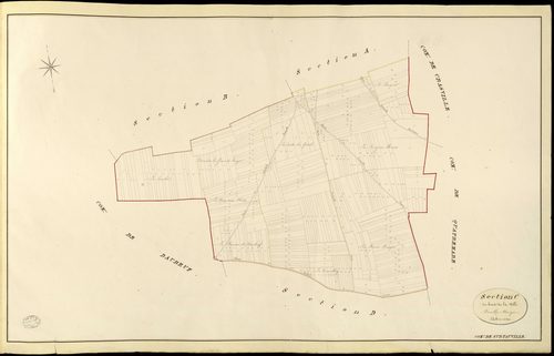 Surtauville. Section C _ du bout de la Ville _ Feuille Unique