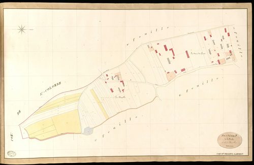 Tilleul-Lambert (Le). Section D _ de la Friche _ 3e de 5 Feuilles