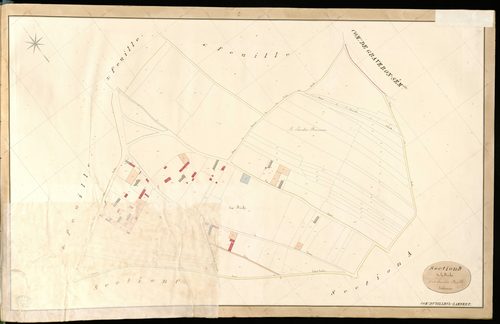 Tilleul-Lambert (Le). Section D _ de la Friche _ 5e et dernière Feuille