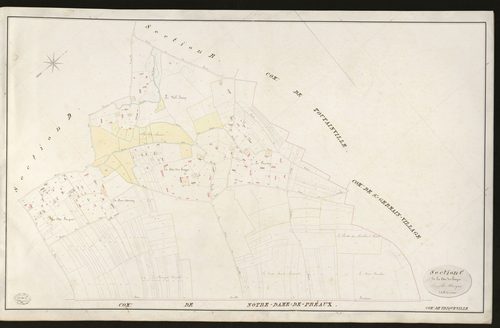 Triqueville. Section C _ de la Côte des hayes _ Feuille Unique