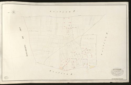 Triqueville. Section E _ de la Côte Baron _ Feuille Unique