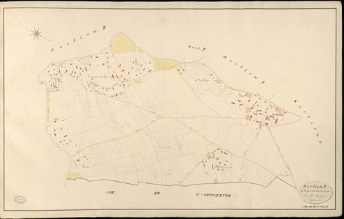 Trouville-la-Haule. Section D _ de l'Eglise et du bout des haies _ Feuille Unique
