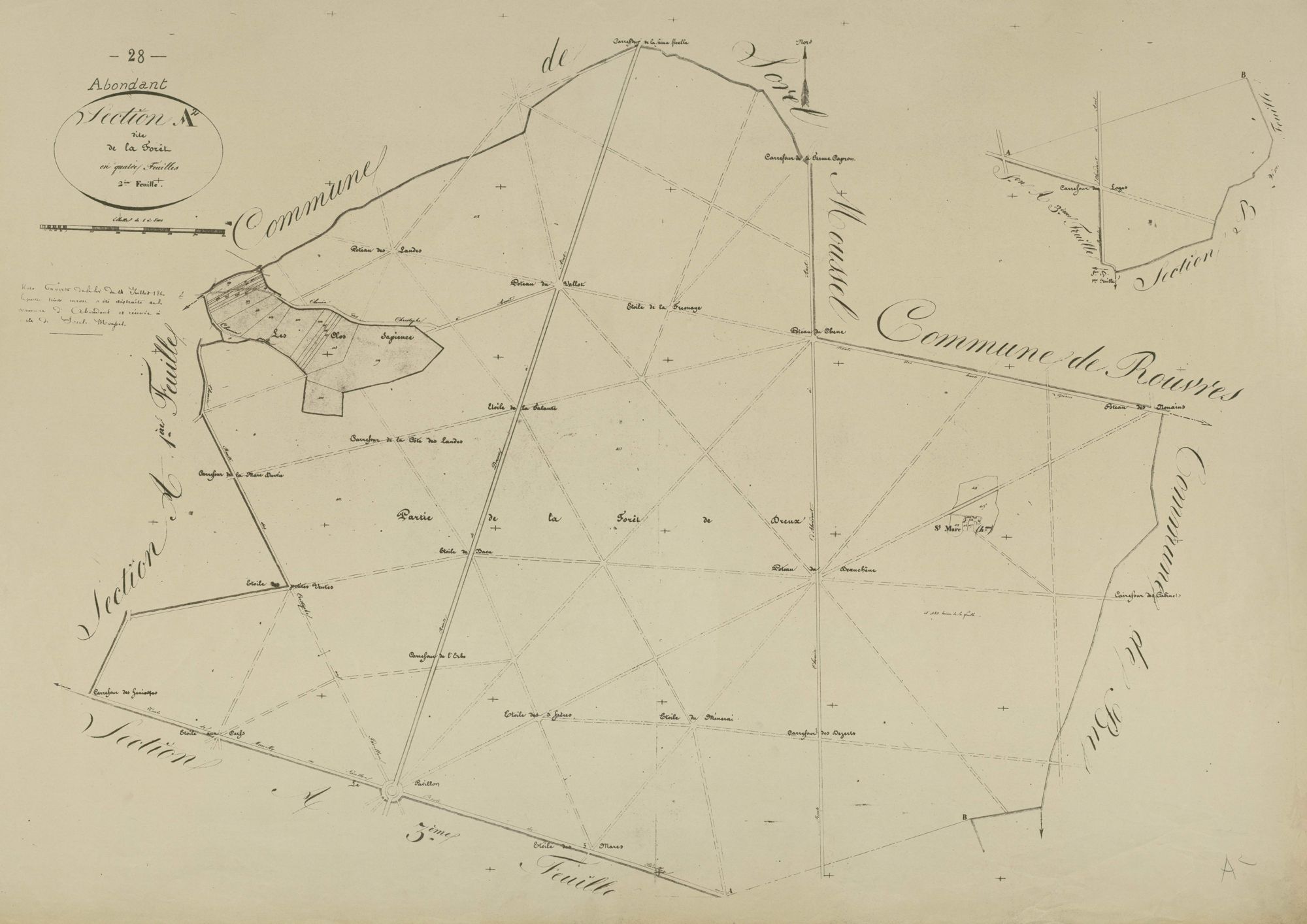 Section A, la Forêt, feuille 2.