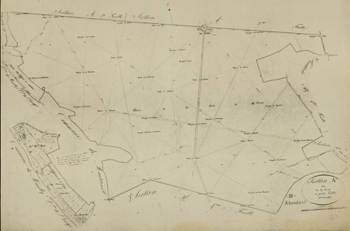 Section A, la Forêt, feuille 3.