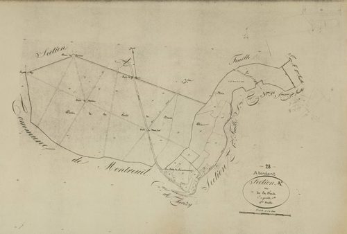 Section A, la Forêt, feuille 4.
