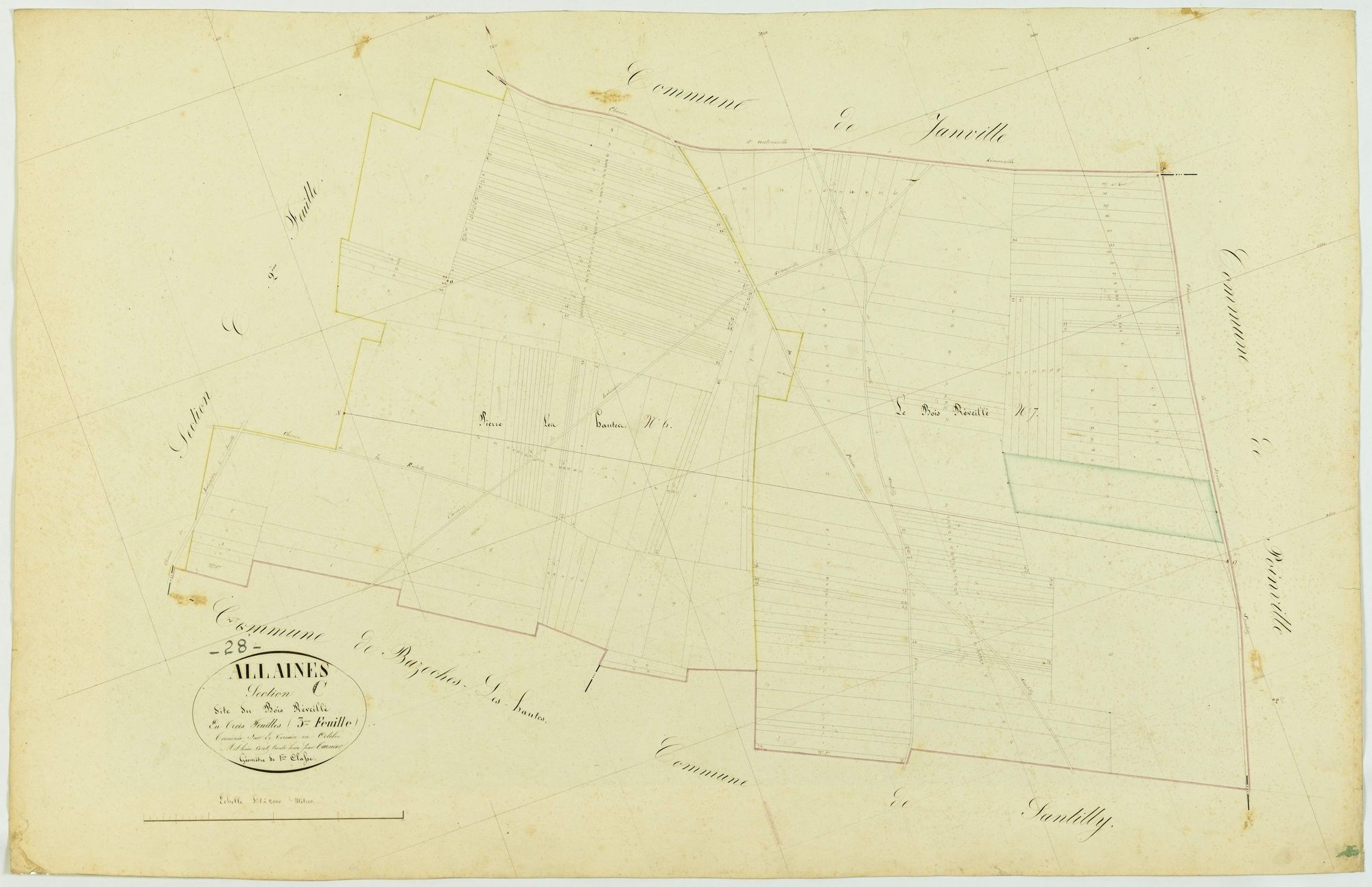 Section C, le Bois Réveillé, feuille 3.