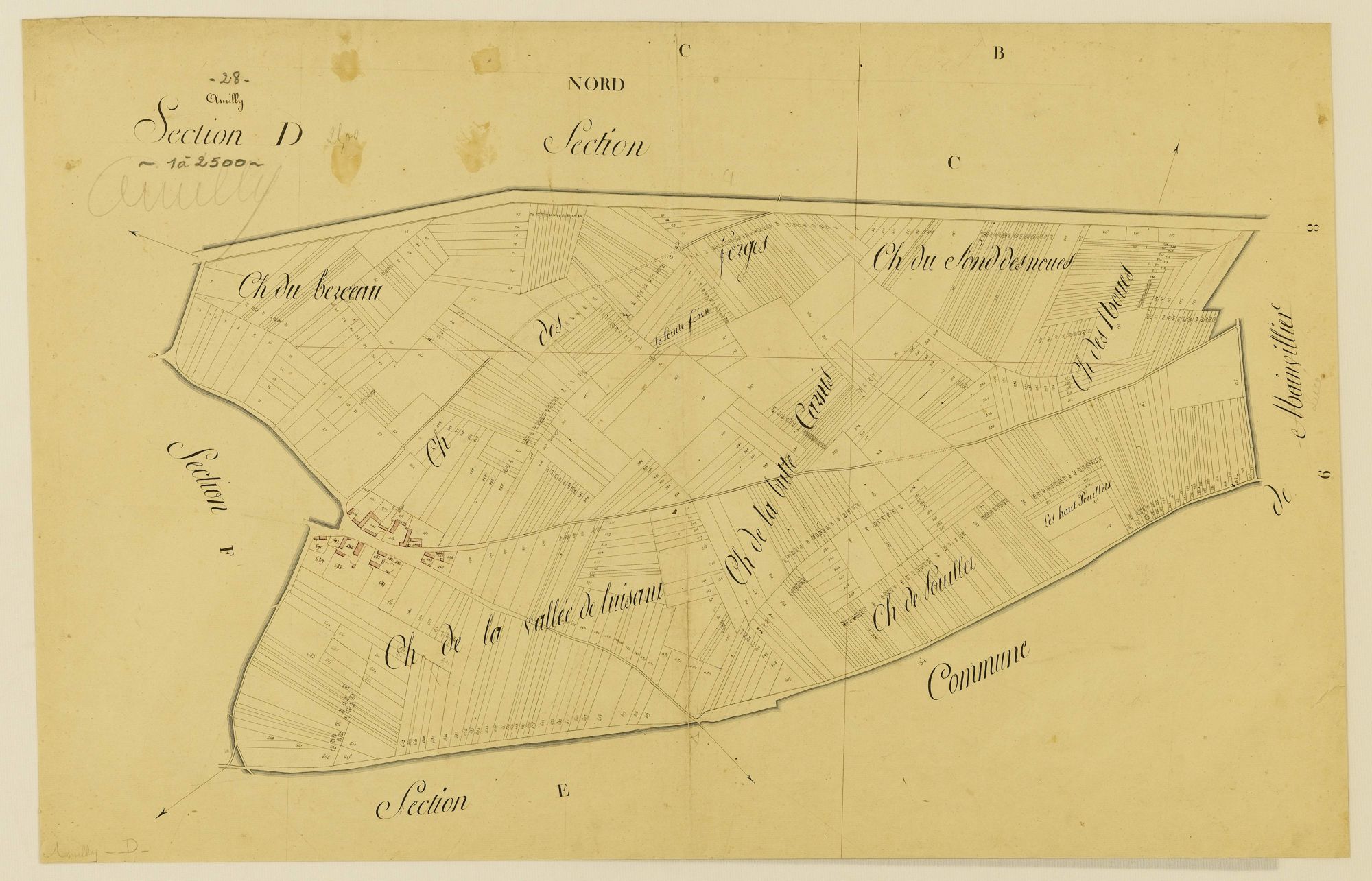 Section D.
