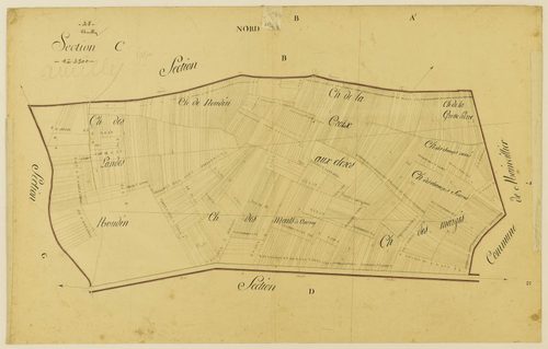 Section C.