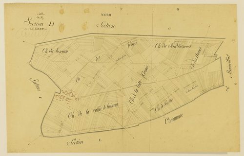 Section D.