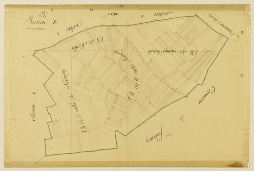 Section E.