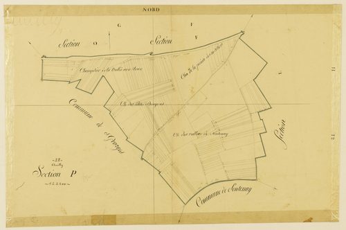 Section P.