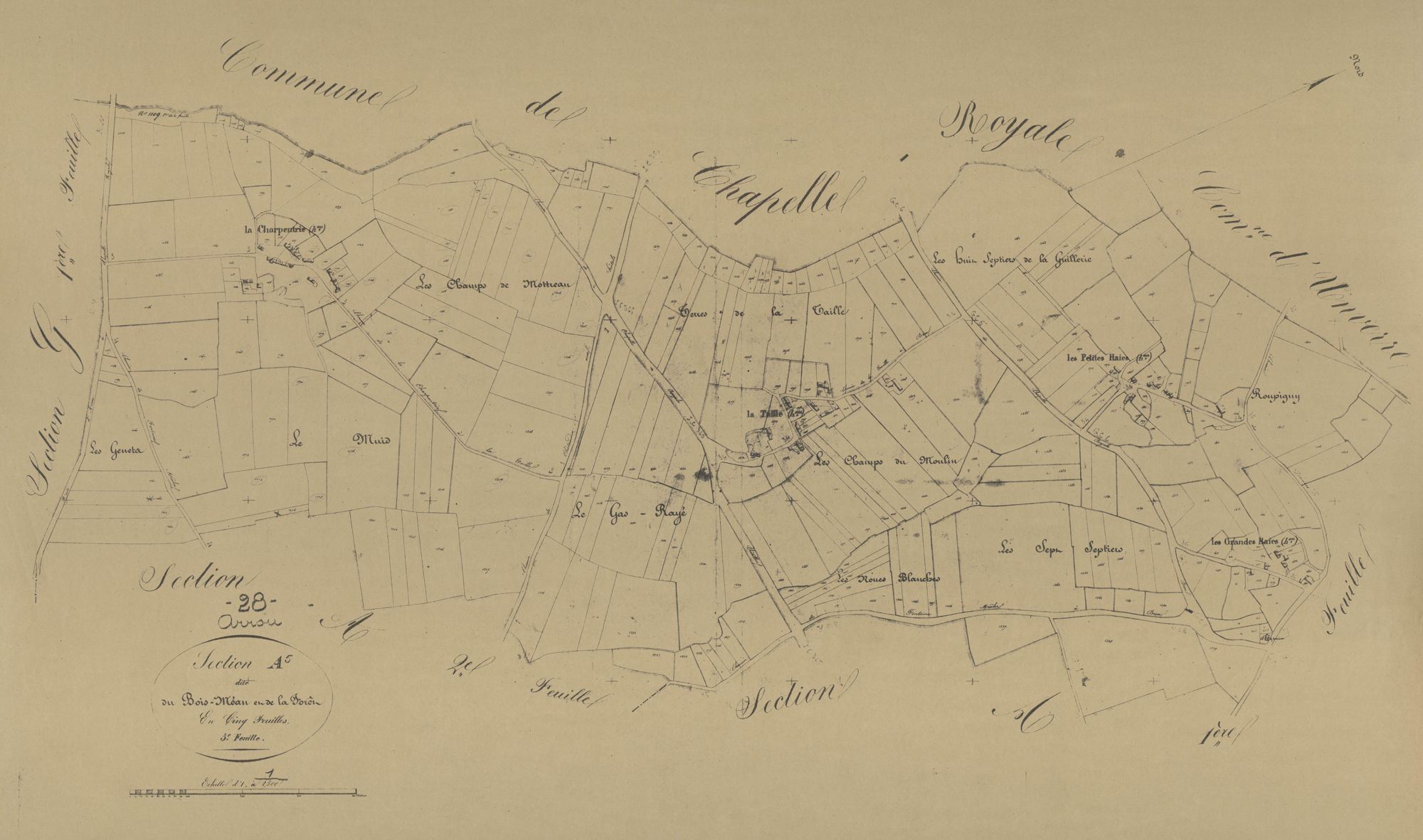 Section A, le Bois-Méan et la Forêt, feuille 5.