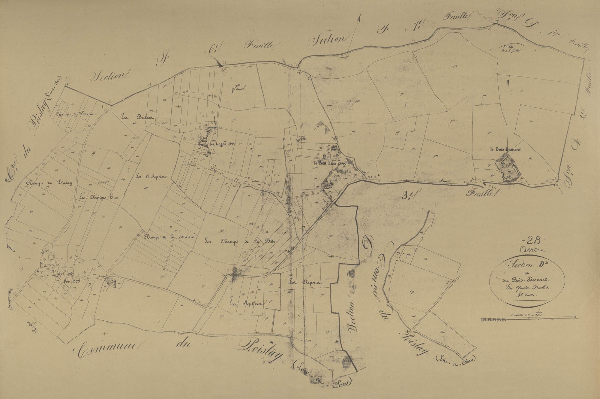 Section D, le Bois-Besnard, feuille 4.