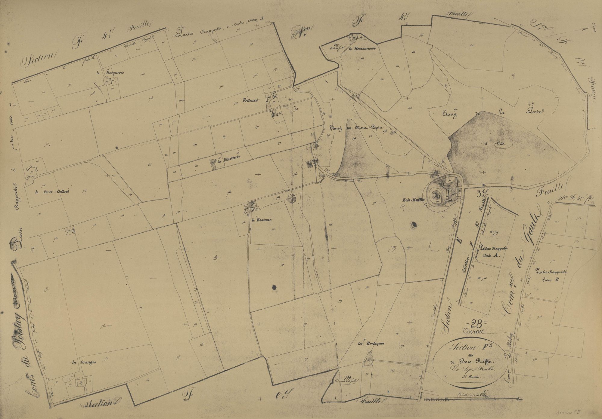 Section F, Bois Ruffin, feuille 5.