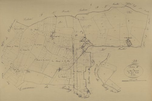 Section D, le Bois-Besnard, feuille 4.